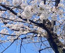 現役バーテンダーがあなたのお悩みお聞きします バーテンダーの「聞き上手」をオンラインでお試しあれ。 イメージ2