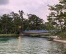 秘密厳守で日々のお悩みをお聞き致します ★★身近な友達に相談する雰囲気で、和やかにお聞きします★★ イメージ5
