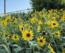 あなたを褒めます 褒められたい、認められたいそんな気持ちをもっているあなたへ イメージ1