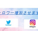 インスタグラムのフォロワー・いいね等を増やします フォロワーやいいね等を最低1000人から増やします！ イメージ1