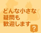 高齢ペットの介護や生活の悩みを一緒に考えます 日常ケアや生活改善の工夫を提案します イメージ6