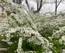 お話したくさん聞きます 皆様の愚痴悩み相談聞かせてください イメージ1