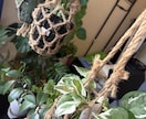 植物やエクステリアのお悩み解決します 造園•土木•農薬の資格保有！確かな知識でお悩みサポート イメージ2