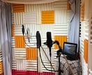 音声編集【商業スタジオ機材プロエンジニア】致します プロ認定■台詞、ドラマCD、音楽、歌、音声・音楽、全てプロ！ イメージ13