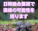 韓日融合霊視で復縁の可能性を探ります 韓国と日本の霊視で、復縁の道を照らします イメージ1