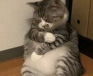 いのちのチャット。優しくお聞きします 心の悩み、どうしたらいいのか相談にのります。 イメージ2