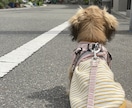 あの人許せない！そんな気持ち受け止めます 嫁姑・夫の無理解など周りに理解されない悩みに寄り添い支えます イメージ4