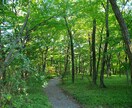 自分に自信がない人。じっくりと話をききます 自分に向き合って今の自分の一歩先を目指していきませんか？ イメージ2