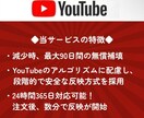 YouTube再生数を伸ばすための支援を行います 先着20名様モニター価格でご提供！是非お試しください！ イメージ5