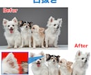 プロのPhotoshop加工で、画像加工を行います 4月まで先着10名限定価格一律で画像加工を承ります。 イメージ4