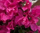 お悩み愚痴、あなたの心に寄り添います お悩み、愚痴、何でも聞きます。 イメージ1