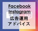 ビデオ対応 | SNS広告のアドバイスします 【web広告のプロ】FacebookなどSNS広告に対応 イメージ1