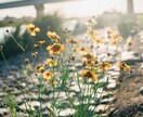 あなたの写真、おしゃれに変身させます あなたの思い出達を素敵な写真にして残しませんか！？ イメージ2