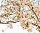 ダイヤモンドアート代行制作致します ダイヤモンドアート作成経歴4年になります イメージ1