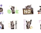 可愛い飼い猫のオリジナルLINEスタンプ作成します ご家族でのご利用や職場の看板猫などお好きなワードで作成！ イメージ3