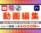 切り抜き&ショート動画編集代行します 格安でお受けいたします。格安でも丁寧に制作します！ イメージ1