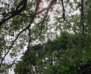 お客様の希望時間に朝のモーニングコールを行います 朝の弱い方が安心して起きれるように電話で起こします。 イメージ1