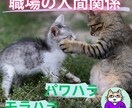 人間関係も仕事も最悪！辞めたい！電話で後押します ミスって迷惑かけて、怒られて、どうしたらいいかわからない！ イメージ1