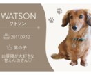 わんちゃんのオリジナル名刺を作成します お写真に合わせてかわいく印象に残るデザインに仕上げます♡ イメージ1