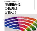ネット印刷手配前の配置画像を適正に色補正します ネット印刷の色調不安おたすけします イメージ2