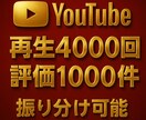 YouTubeの再生回数【4000回】増やします ☆再生回数+4000回と評価+1000件が3,000円☆ イメージ8