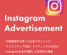 Instagram広告の運用代行をいたします 行動経済学を使った効果的な広告運用 イメージ1