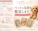 ペットの本音、今、伝えたい想いを読み取ります 今どんな気持ちなんだろう…言葉にできない想いを読み解きます。 イメージ1