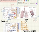 高校、受験生物を元医専プロ講師、現医学生が教えます 都内医学部専門予備校10年間勤務のプロ講師が受験生物を伝授 イメージ2