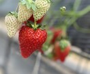 日常会話感覚で普段話せないことも承ります 仲がいいけどここまで話せないモヤモヤが晴れますように イメージ1