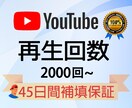 YouTube動画再生＋2000回以上宣伝します ★ 実績作る為期間限定価格★減少保証45日間★振り分け可能 イメージ1