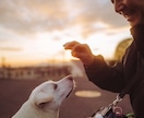 思い出の場所で撮る家族写真の撮影承ります 限りある時間のなかで出会えた宝物をカタチに。 イメージ2