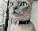色鉛筆でリアルな動物を描きます 動物園取材×解剖学ベース、毛並み一本まで描き込む本格派 イメージ3