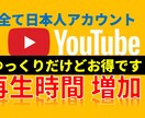 Youtube再生時間を目標時間まで継続宣伝します 複数動画に振り分け可。1000時間再生を7000円で！ イメージ1