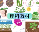 １ランク上のクオリティで理科教材の図版を描きます 植物、昆虫、魚類などの生物から理科の実験器具まで制作します。 イメージ2