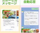 LINE出身が高品質な公式LINEを構築します LINE出身者がLINEの構築〜デザインまで全て対応 イメージ4