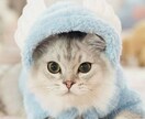 お金周りについて解決ます 無駄な出費とか減らすことが簡単にできます！ イメージ1