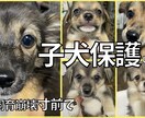 YouTubeの動画制作を行います 動画編集全般できます。ご期待に応えます イメージ1
