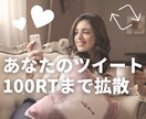 あなたのツイート拡散します 100RT，100いいねまで徹底拡散 イメージ1