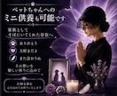 亡きご家族様・ご友人様へ優しい祈りを届けます あなた様の大切な想いを、祈りに込めて捧げます イメージ6