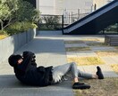 知人限定！プロフィール写真撮影いたします 一味違うプロフィール写真を撮りませんか？ イメージ2