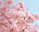 スピード納品！晴明✨花開く才能・使命・得意を視ます ご新規限定❤️晴明エネルギーをお届けします！【無料】特典付 イメージ3