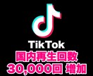 TikTok 国内再生回数を30000回増やします SNSの宣伝・拡散はおまかせください！ イメージ1