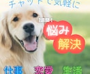 メールで職場ストレス、心の悩みなどご相談にのります <誰にも言えない話をお気軽に> イメージ1