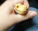 相談・愚痴など何でも聴きます あなたのその心のモヤモヤ、解消するお手伝いさせてください イメージ1
