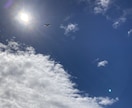自然や動物などの風景写真を提供します 癒しの風景、旅先などの自然の写真です。心が動く写真。 イメージ1