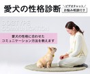 ドッグタイプコミュニケーション愛犬の性格診断します 愛犬に伝わりやすい指示の出し方、必要なしつけがわかります イメージ1