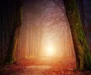 霊感霊視で、あなたの「未来」、鑑定します ★お名前、生年月日、不要です★ お写真だけ、送ってくださいね イメージ4