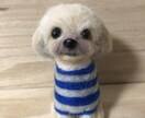 大切なペットちゃんのお人形を作ります 完成まで2週間。途中経過のお写真ご覧頂けます イメージ6