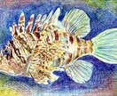 海の生き物を描きます 生きているかのようなイラストをお届けします! イメージ3
