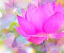 愛しいペットのお気持ちを視て貴方様にお伝えします ペットの気持ち何を想っているか✨ペットロス✨猫ちゃんタロット イメージ6